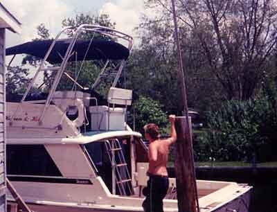 Silverton 37 Convertible Arch 1980 image 1