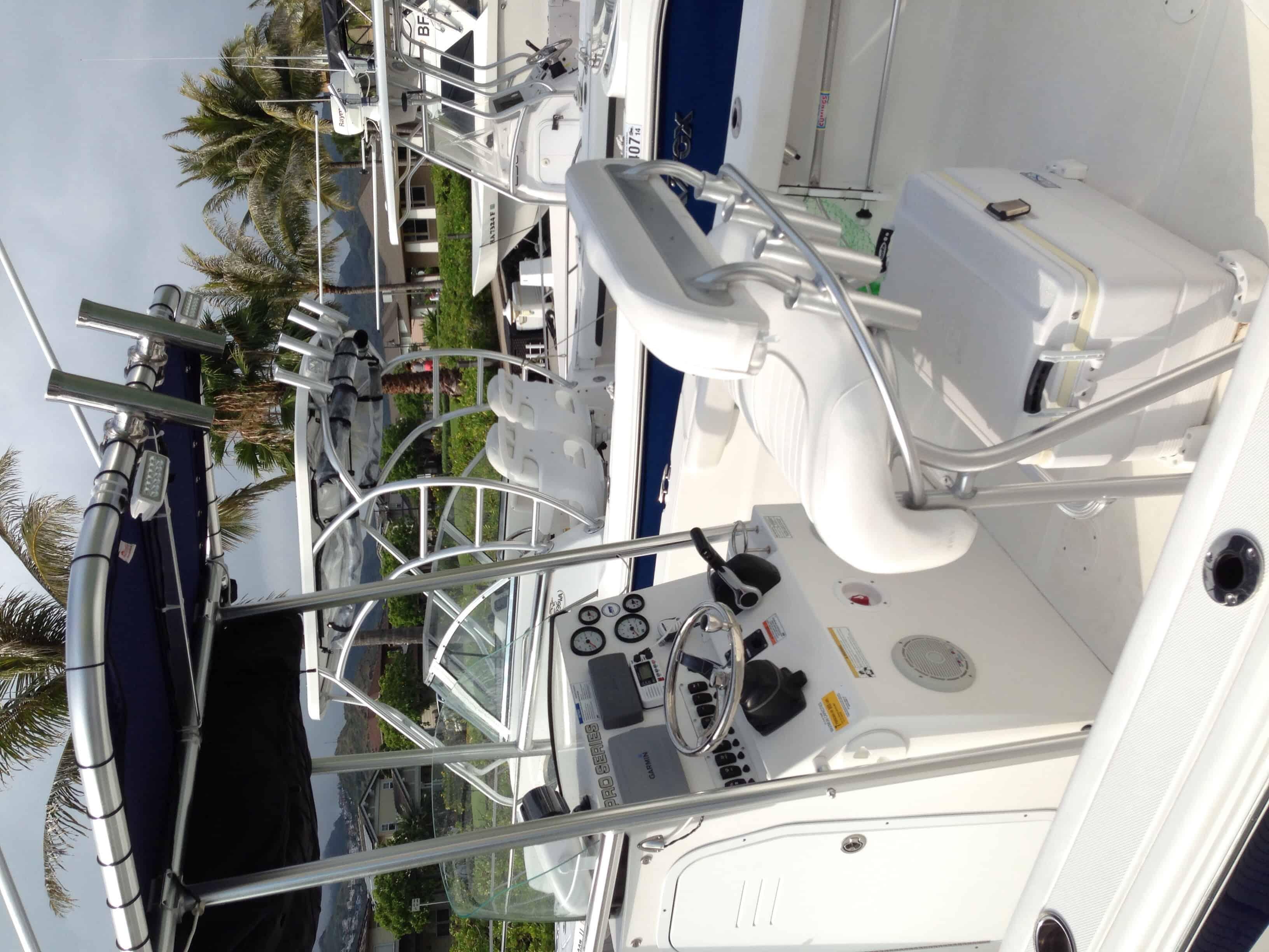 Sea Fox 199 T-Top 2012 image 1