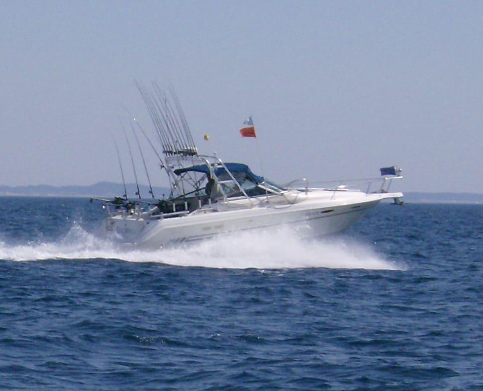 White Sea Ray 300 Weekender boat equipped with Atlantic Towers arch and fishing rods speeding on water