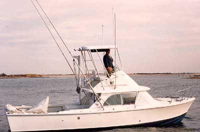 Bertram 31 Flybride Cruiser Top 1961 image 1