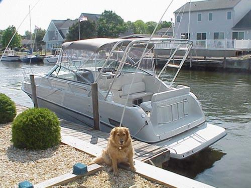 Crownline 290 Crownline Arch 1999 image 1