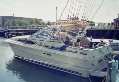 Atlantic Towers arch on a Sea Ray 340 Sundancer express cruiser, showcasing its sleek design and functionality.