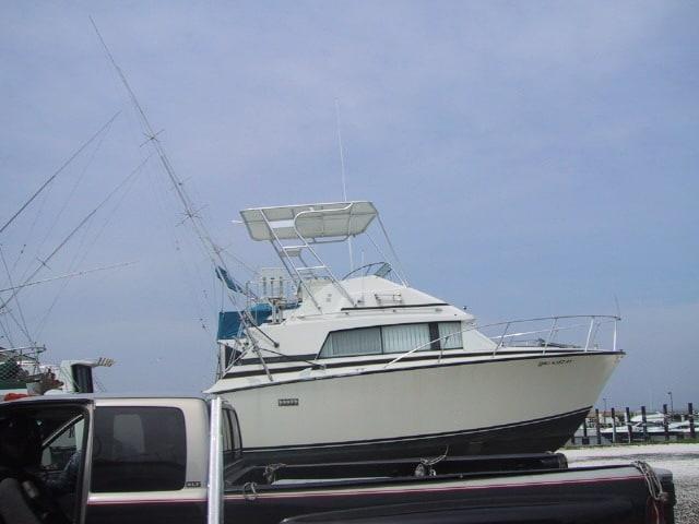 Bertram 33 Sport Fish Top 1979 image 1