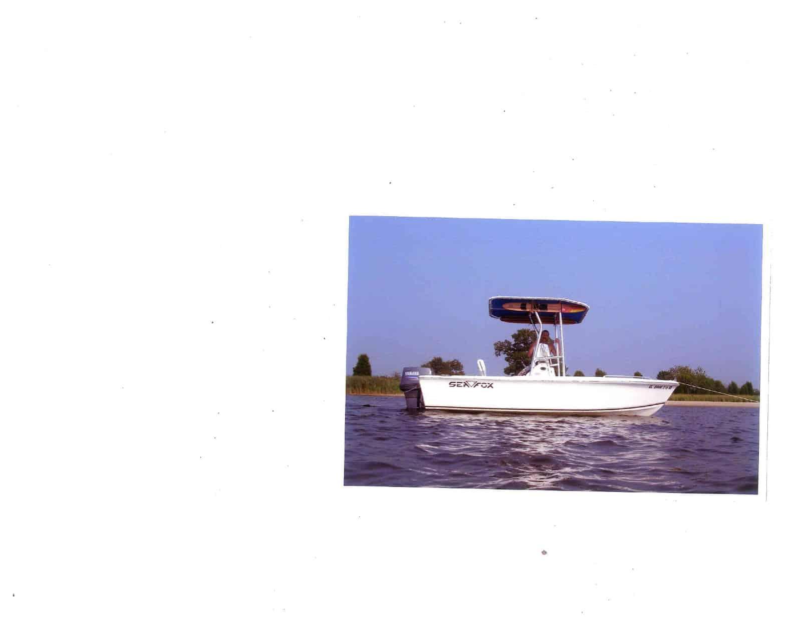 Sea Fox 17 T-Top 2005 image 1