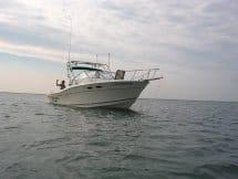 Sportcraft 232 GLS Arch 1999 image 1