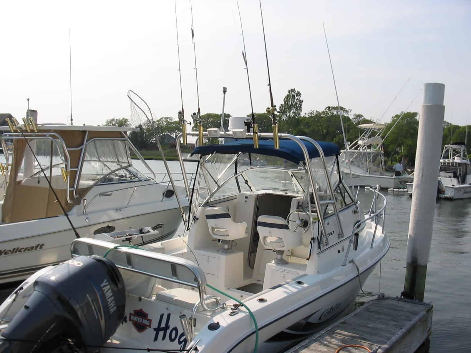 Cobia 230 W/A Arch image 1