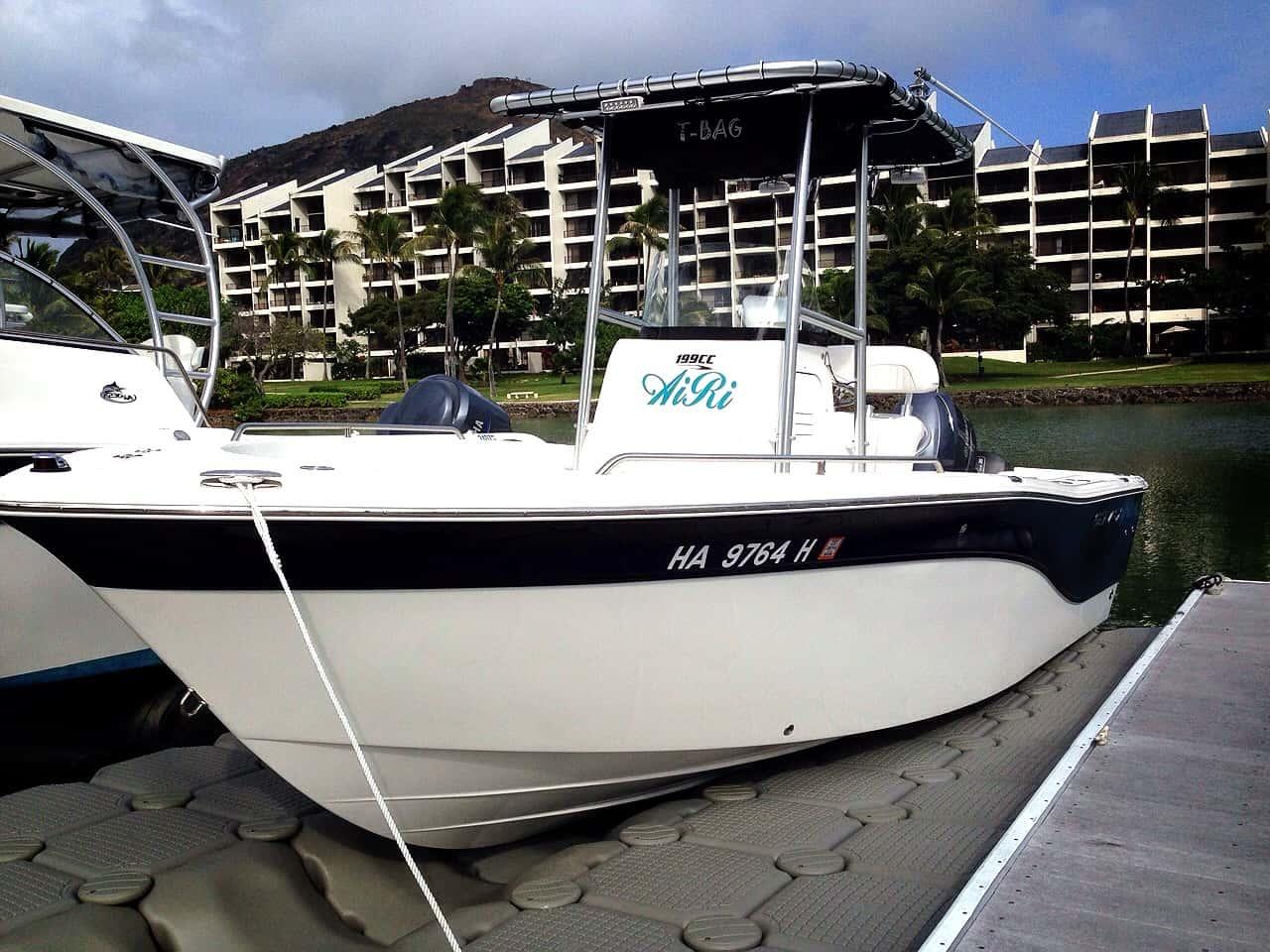 Atlantic Towers T-Top installed on a Sea Fox 199 center console boat.
