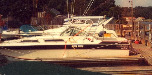 Wellcraft 288/2900 Express Suncruiser Top 1980 image 1