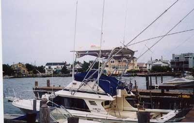 Blackfin 29 Flybridge Top 1986 image 1