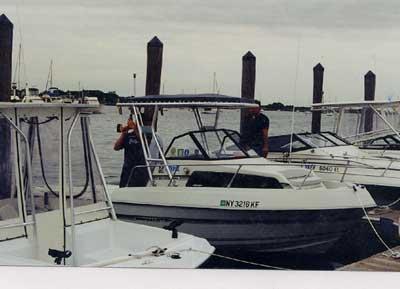 Renken 2008 WA Top 1988 image 1