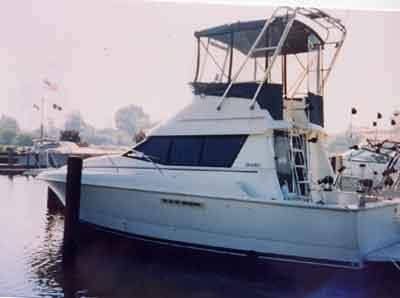 Silverton 31 Convertible Arch 1991 image 1