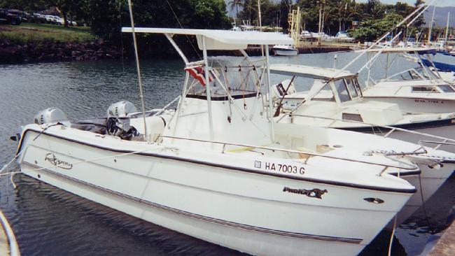 Pro Sport ProCat CC 22 T-Top 2002 image 1