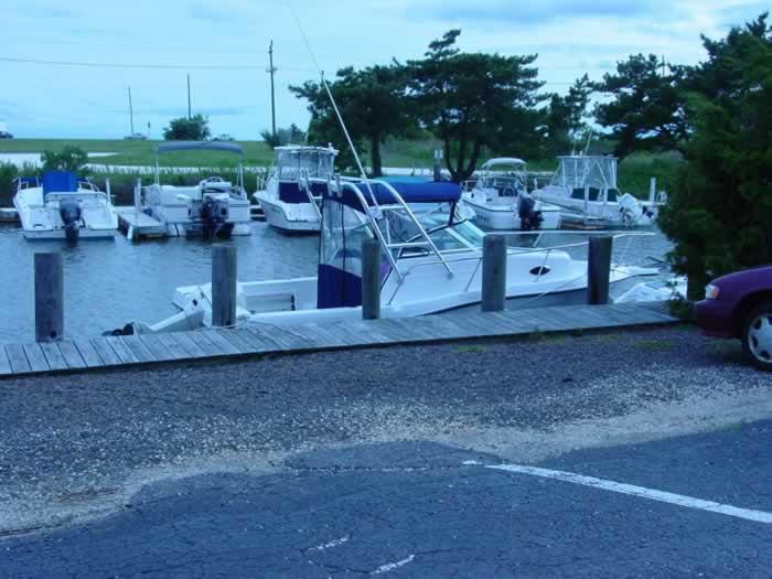 Seaswirl 2150 Arch image 1