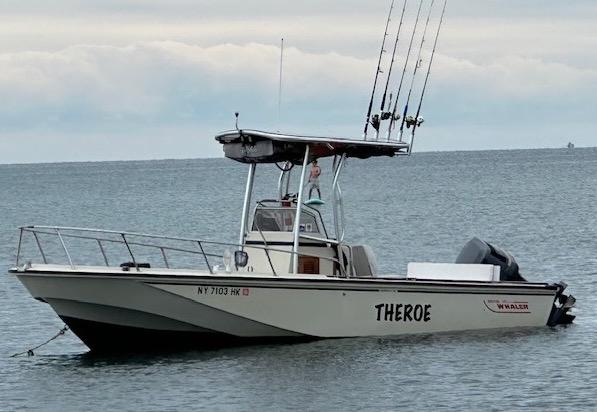 Boston Whaler T-Top 1988 image 1