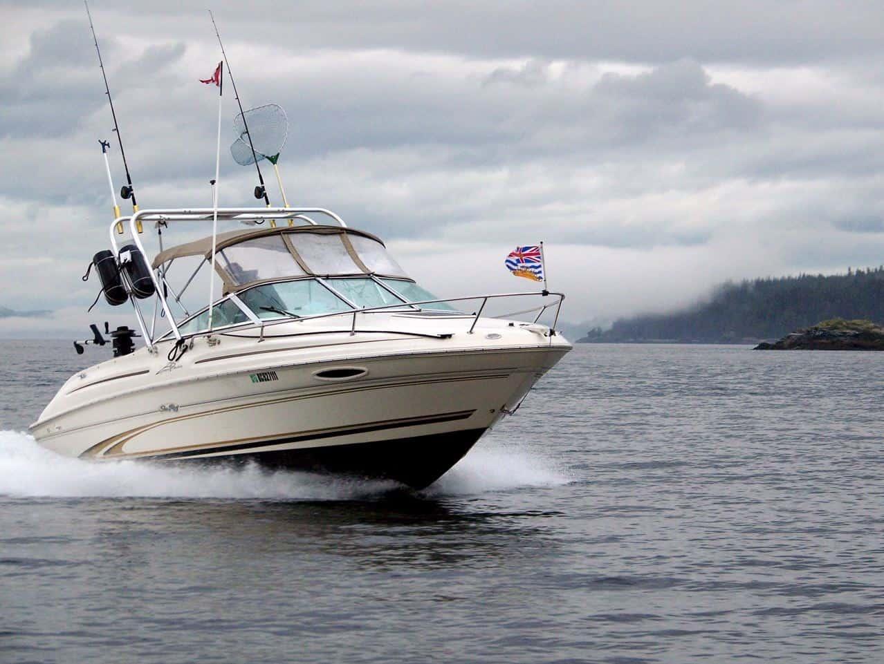 Sea Ray 215 Express Cruiser Arch 1996 image 1