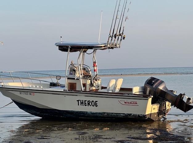 Boston Whaler T-Top 1980 image 1