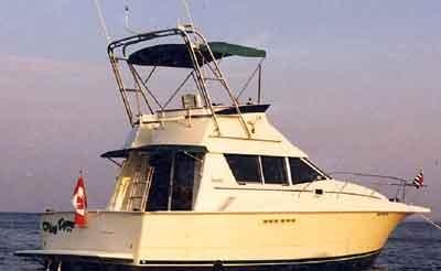 Silverton 31 Convertible Arch 1991 image 1