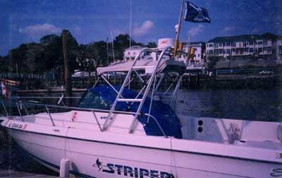 Seaswirl 210 Striper Arch 1990 image 1