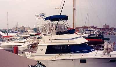 Carver 32 Convertible Arch 1984 image 1