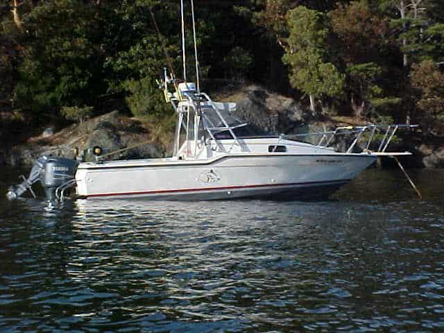 Atlantic Towers Arch installed on a Trophy 2302 Walkaround boat anchored in calm waters surrounded by trees.