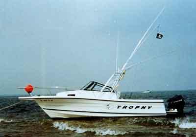Bayliner 2509 Trophy Arch 1996 image 1