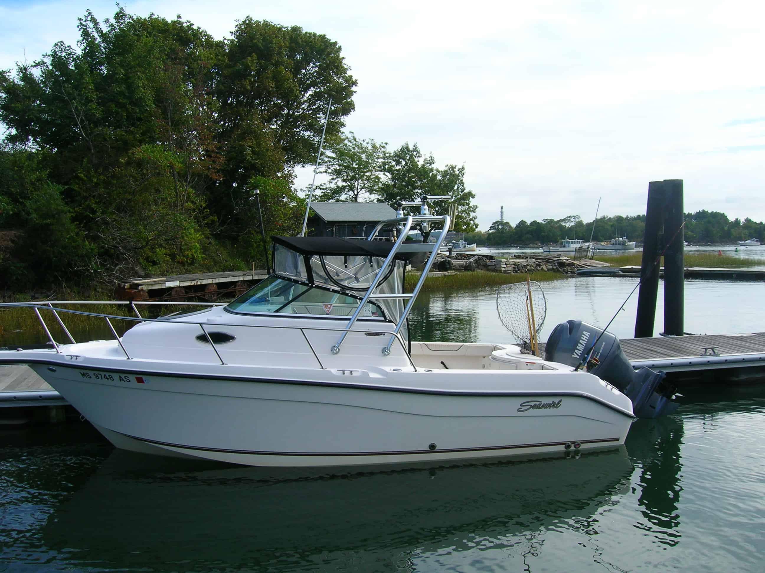Seaswirl 2101 Striper Arch 2001 image 1
