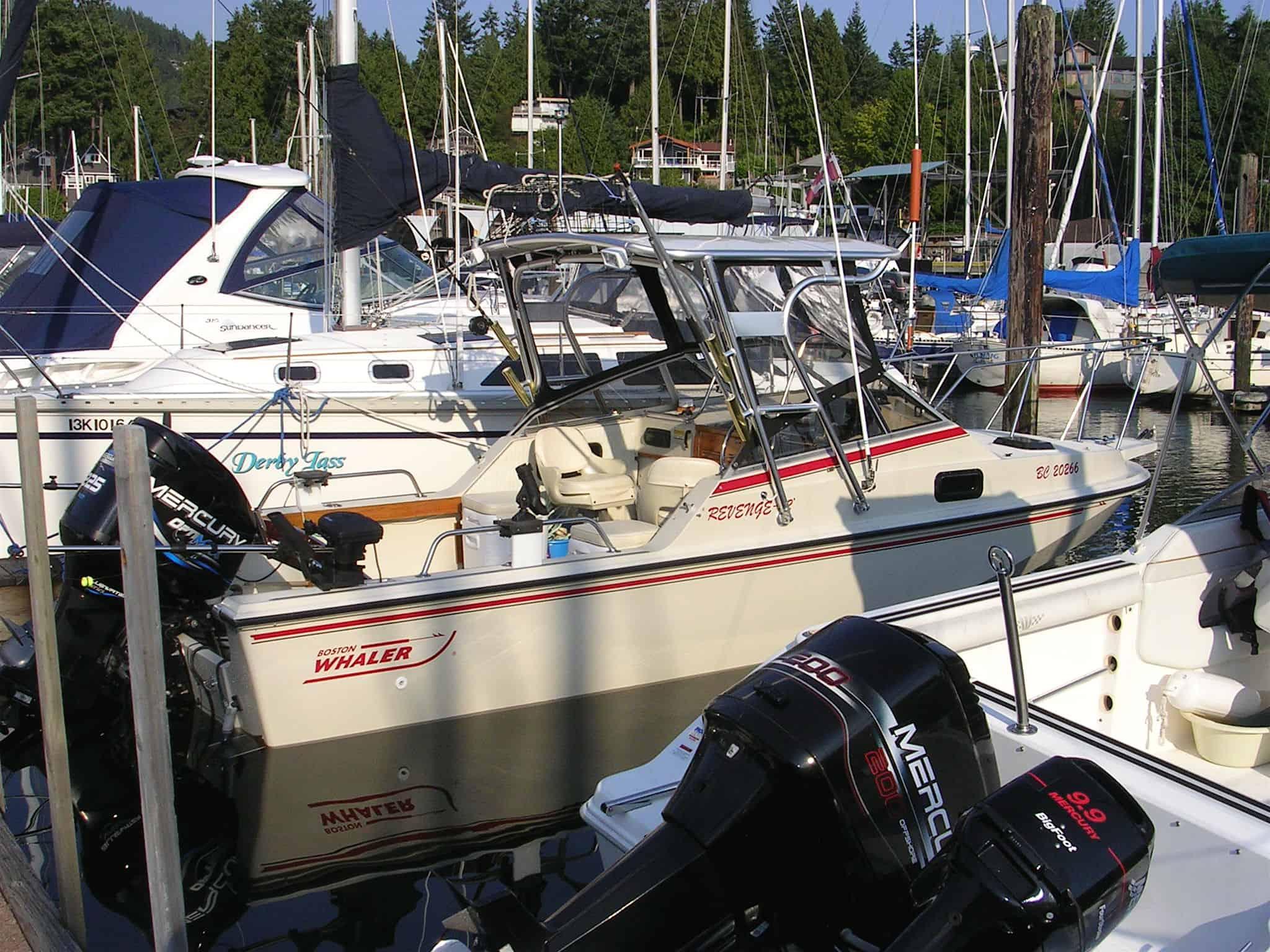 Boston Whaler 22 Revenge Walkthru Top 1985 image 1