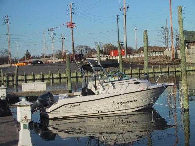 Seaswirl 2101 Striper Arch 2003 image 1