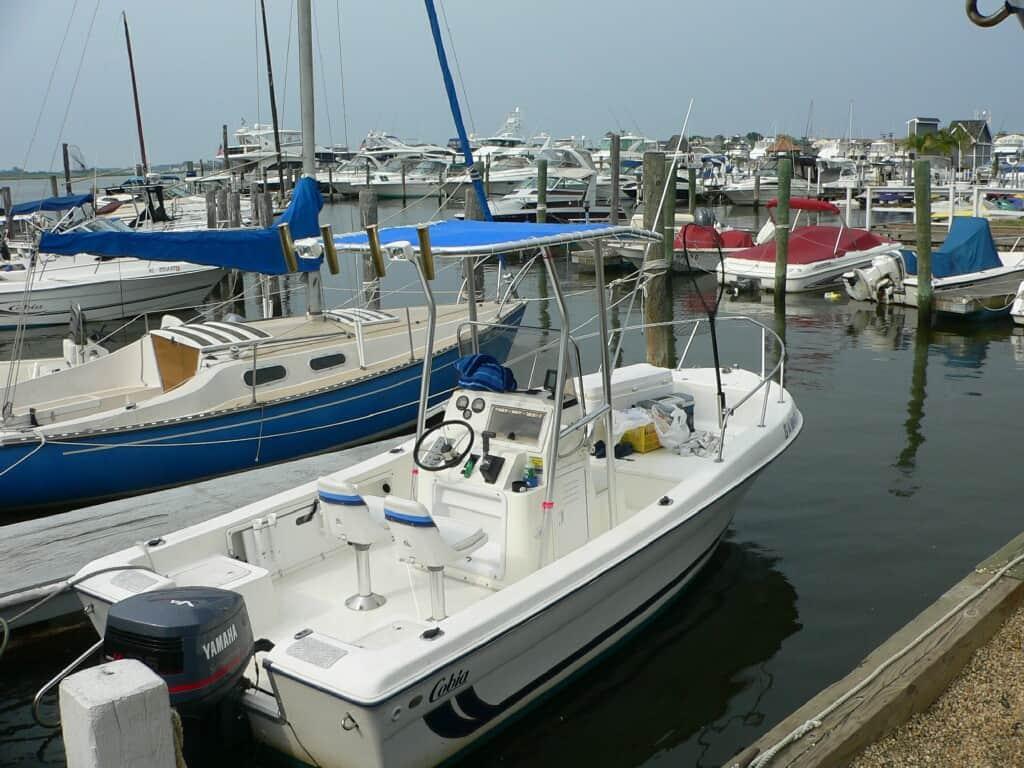 Cobia 194 T-Top 1995 image 1