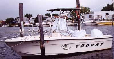 Trophy 1903 T-Top 1996 image 1