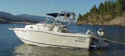 Atlantic Towers Arch installed on a Seaswirl 2150 Walkaround boat, moored in a serene lake setting.