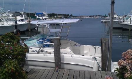 Sea Ray 260 Sundancer Top 1999 image 1