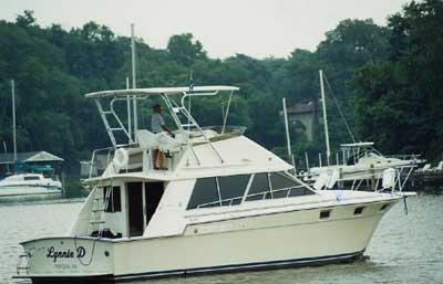 Atlantic Towers Top installed on a Silverton 40 Convertible boat navigating a river.