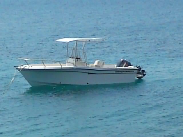 Atlantic Towers T-Top installed on a Grady White 209 Escape center console boat with white hull and steering console.
