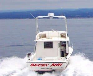 Island Hopper 30 Flybridge Arch image 1
