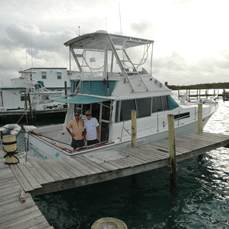 Bayliner 3870/3888 MY Top 1983 image 1