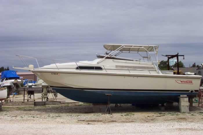 Boston Whaler Top image 1