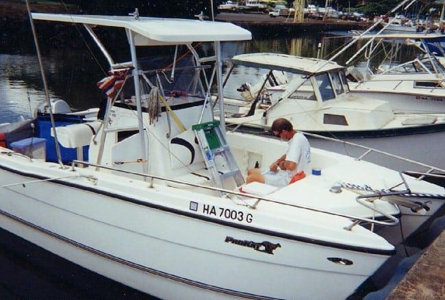 Pro Sport ProCat CC 22 T-Top 2002 image 1