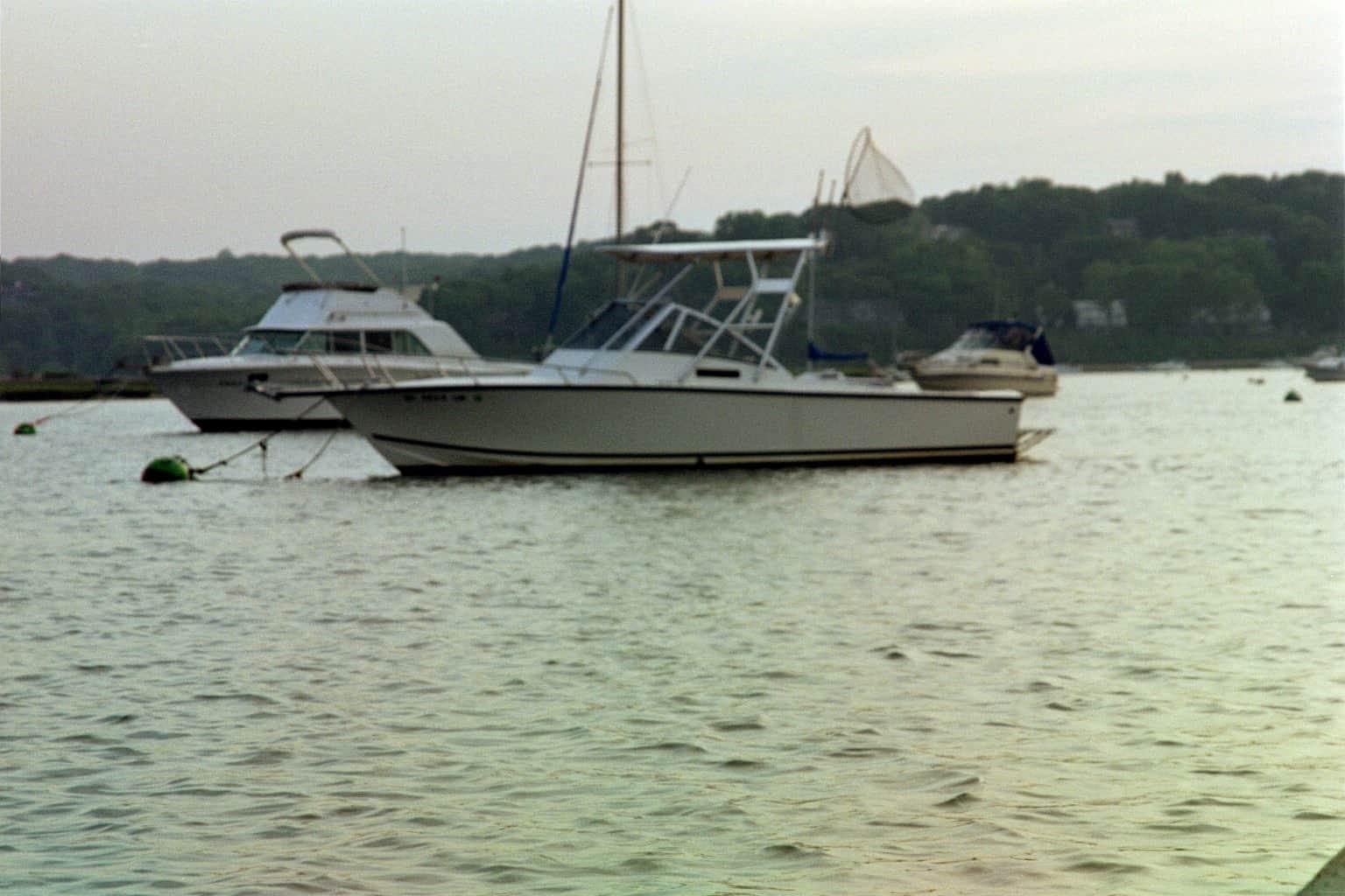 Albemarle 247/248 Express boat with Atlantic Towers Top installed anchored in calm water near wooded shoreline.