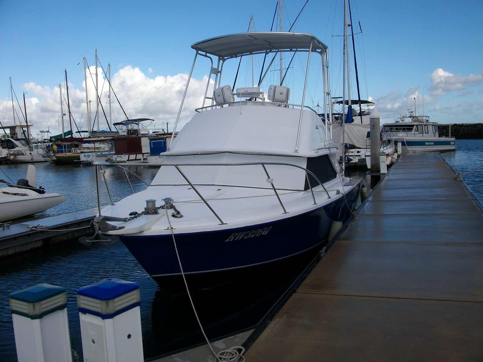 Bertram 28 Sportfish Top 1971 image 1