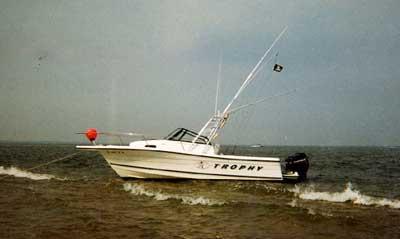 Bayliner 2509 Trophy Arch 1996 image 1