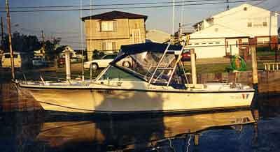 Atlantic Towers Arch installed on a Wellcraft V-20 boat, docked reflecting in calm water with homes in the background.