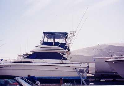 Sea Ray 340 Sedan Bridge Arch 1983 image 1