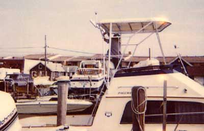Pacemaker 30 Sportfisherman Top 1973 image 1