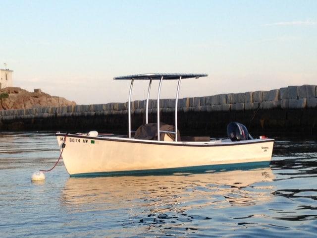 Seaway 19 T-Top image 1