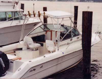 Sea Ray 24 Laguna Top 1992 image 1