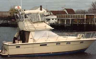 Atlantic Towers Arch installed on a Tiara 3100 Convertible boat docked near a marina.