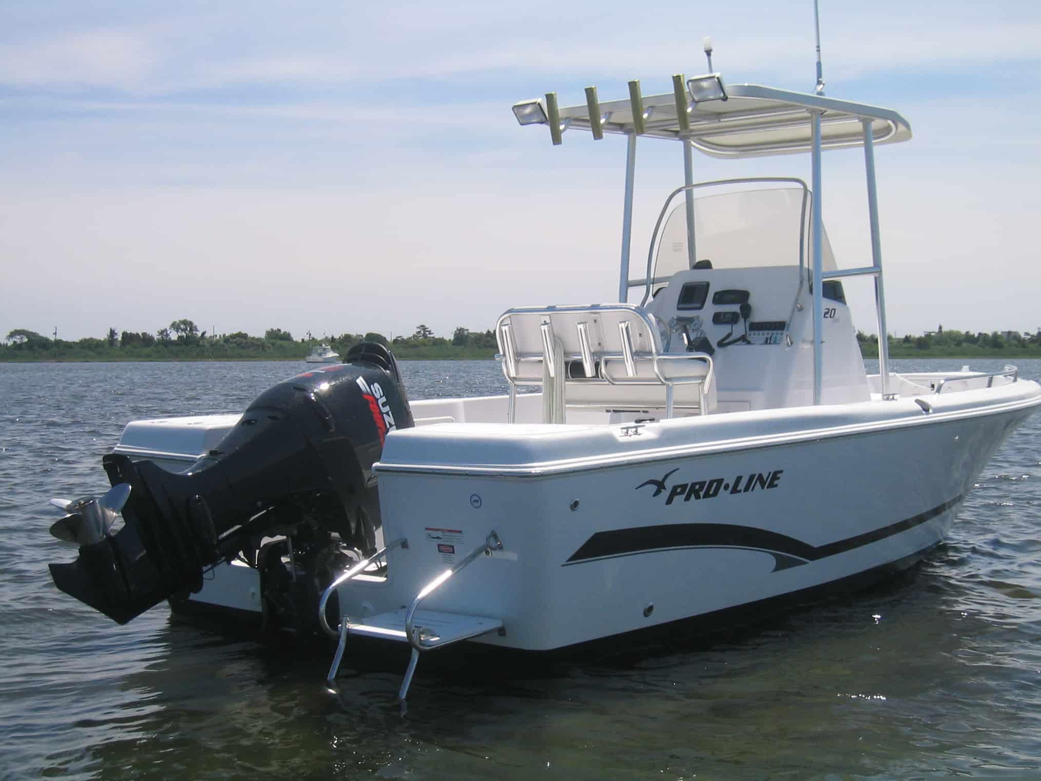 Pro Line 20/21 Sport T-Top 1996 image 1
